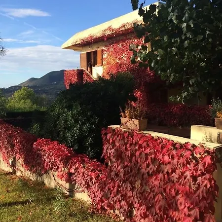 Fonteluna 3*